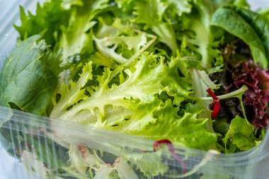 Mesclun Salatasını Plastik Kutuda / Pakette Götür. Yemek için hazır / Maskolin. Organik Taze Yiyecek.