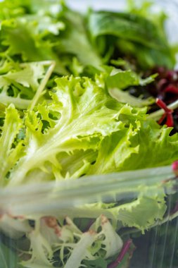 Mesclun Salatasını Plastik Kutuda / Pakette Götür. Yemek için hazır / Maskolin. Organik Taze Yiyecek.