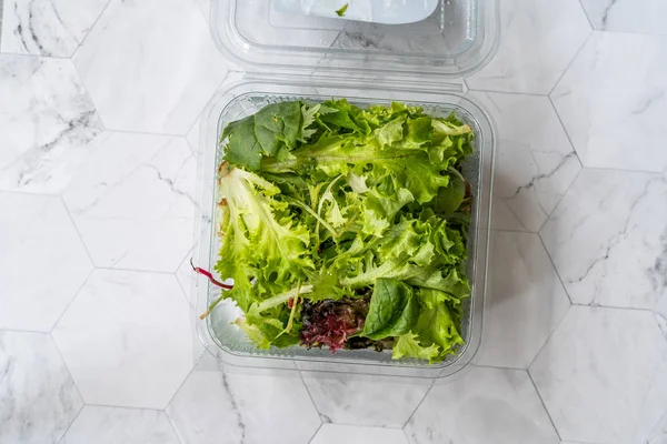 Take Away Mesclun Salad in Plastic Box Container / Package. Ready to Eat / Maskolin. Organic Fresh Food. — Stock Photo, Image