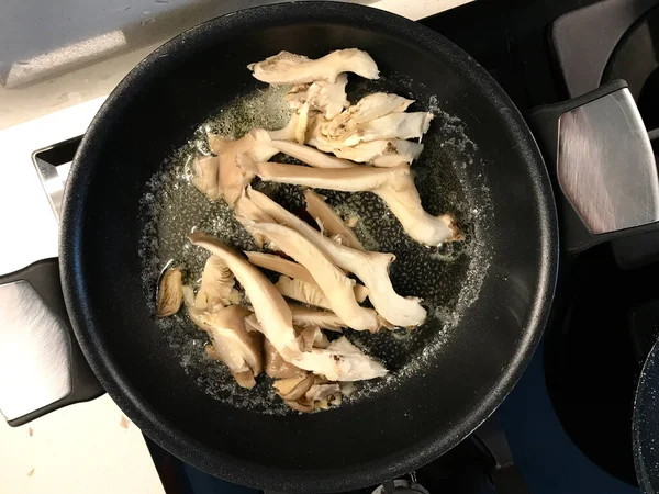 오이스터 머쉬룸 Oyster Mushroom 줄리엔 룸에서 열리는 포럼이다 유기농의 — 스톡 사진