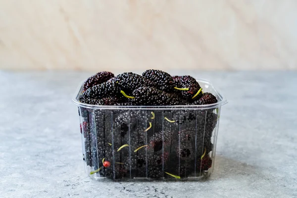 Organic Dark Ripe Mulberries Plastic Box Package Sale Morus Fruit — стокове фото