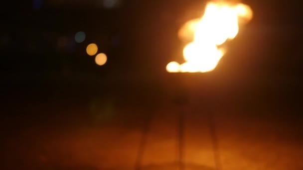 Попадание в горящий факел — стоковое видео
