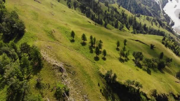 Punto de vista aéreo. Ángulo de disparo superior, montañas verdes y árboles, panorama vertical a las cimas de las montañas y el cielo — Vídeos de Stock