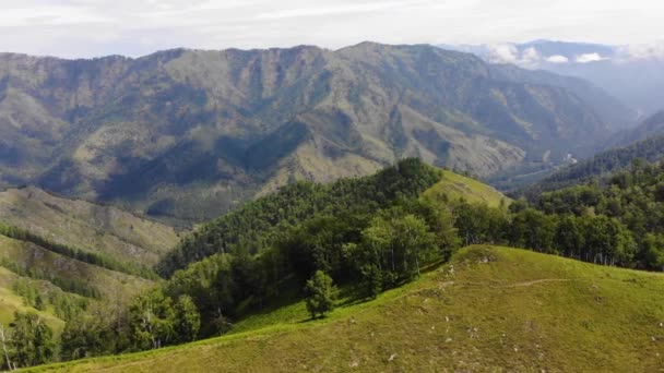 Panorama aéreo horizontal, campos verdes y árboles sobre el telón de fondo de altas montañas y cielo — Vídeos de Stock