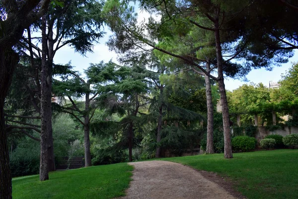 Estrada para a floresta — Fotografia de Stock