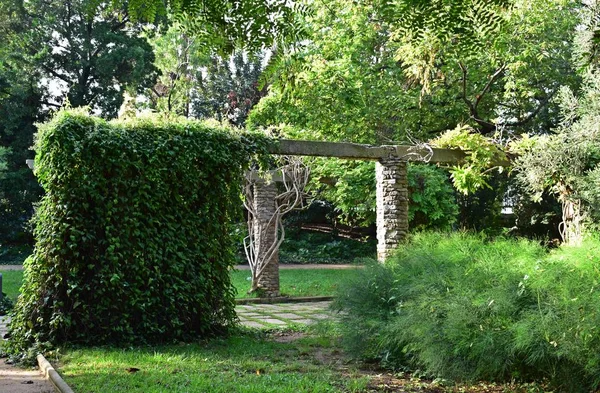 Parc et jardins dans la montagne Montjuic — Photo