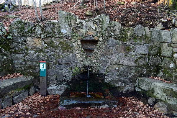 Fountains in the middle of nature — Stock Photo, Image