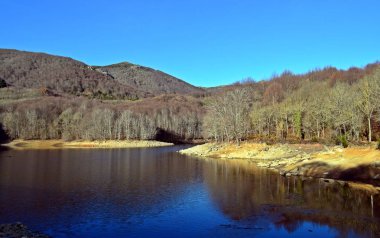 Bataklık ve nehirler