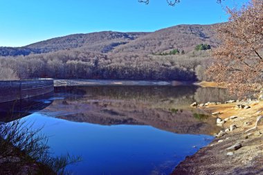 Bataklık ve nehirler