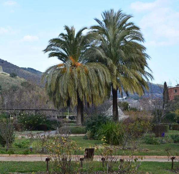Cervantes Park, Spanyolország — Stock Fotó