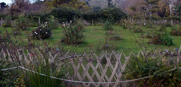 塞万提斯公园的花园 — 图库照片