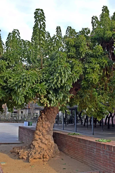 Parque do Pégaso, jardins — Fotografia de Stock