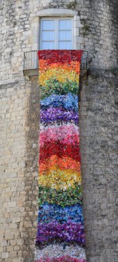 Gerona zamanında çiçek