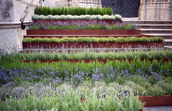 Festival de fleurs à Gérone — Photo