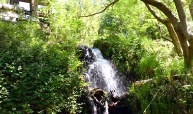   Montseny... Ördekler Marsh kutsal f