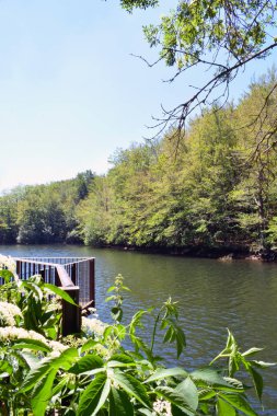 Bataklıklar rezervuar ve nehirler