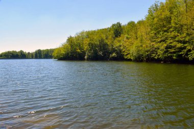 Bataklıklar rezervuar ve nehirler