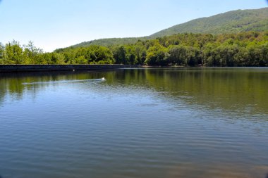 Marshes reservoirs and rivers clipart