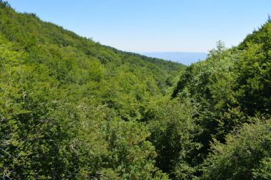 Bataklıklar rezervuar ve nehirler