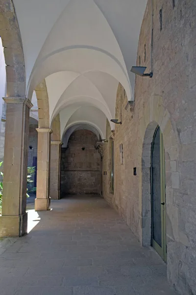 Collegiata Basilica di Santa Maria dell'Alba (Manresa ) — Foto Stock