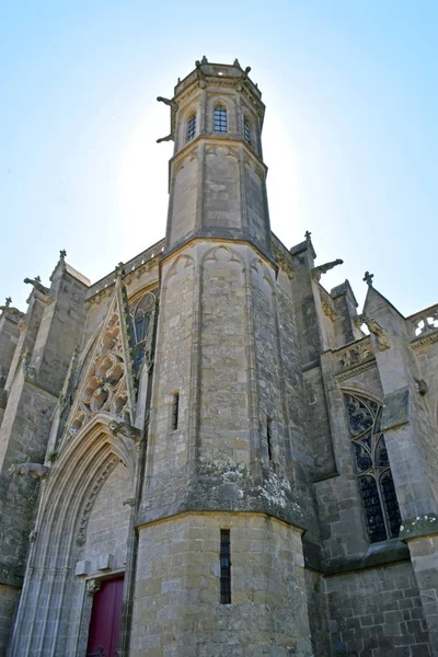 Carcassonne, medieval walled city — Stock Photo, Image