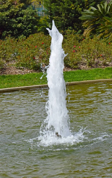 Jet Acqua Nel Giardino Pubblico Barcellona — Foto Stock