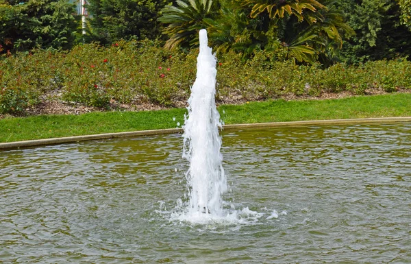Vattenstråle Offentliga Trädgård Barcelona — Stockfoto