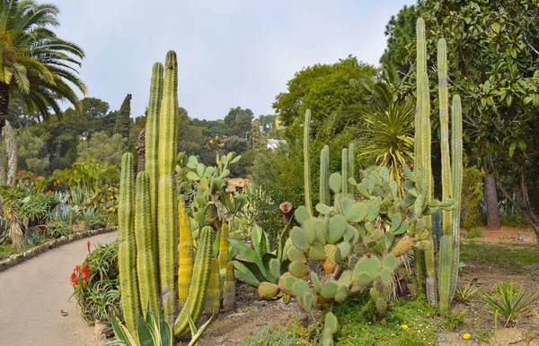 Allmän Trädgård Girona Katalonien Spanien — Stockfoto