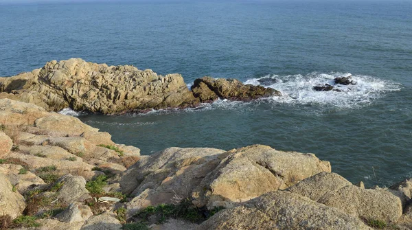 Palomera Blanes Girona España —  Fotos de Stock