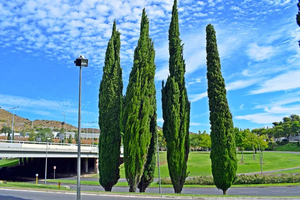 Parc Vall Hebron Distrito Barcelona Catalunha Spai — Fotografia de Stock