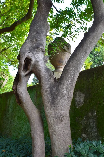 Parque Del Laberinto Horta Barcelona Spai — Foto de Stock