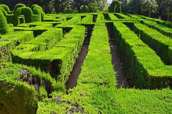 Horta Labyrinth Park Barcelone Spai — Photo