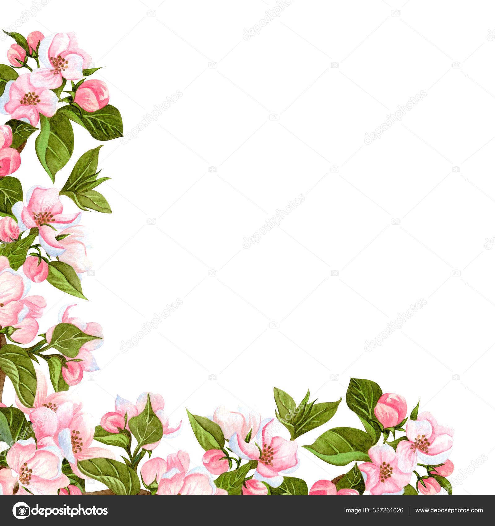 Watercolor Apple Blossoming Tree Frame Isolated On White Hand Drawn Floral Corner Wreath With Flowers Leaves And Buds Perfect For Invitations Design And Wedding Cards Stock Photo Image By C Barvart 327261026