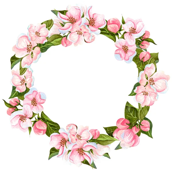 Watercolor apple blossoming tree wreath isolated on white. Hand drawn floral frame with flowers, leaves and buds. Perfect for invitations, design and wedding cards. — Stock Photo, Image