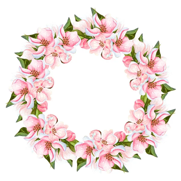 Aquarell Apfelblütenkranz isoliert auf weiß. handgezeichneter Blumenrahmen mit Blüten, Blättern und Knospen. perfekt für Einladungen, Design und Hochzeitskarten. — Stockfoto