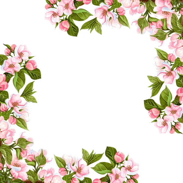 Watercolor apple blossoming tree frame isolated on white. Hand drawn floral corner wreath with flowers, leaves and buds. Perfect for invitations, design and wedding cards. — Stock Photo, Image