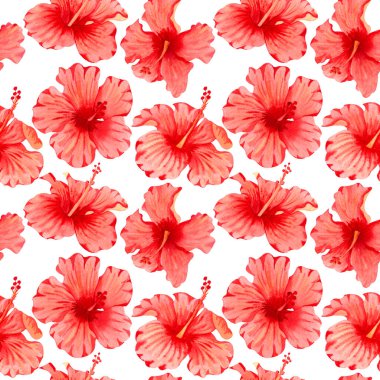 Suluboya kusursuz tropikal çiçek deseni. Beyaz arka planda kırmızı amber ve palmiye yaprakları. Renkli tropikal çiçeklerle el yapımı sulu boya deseni.