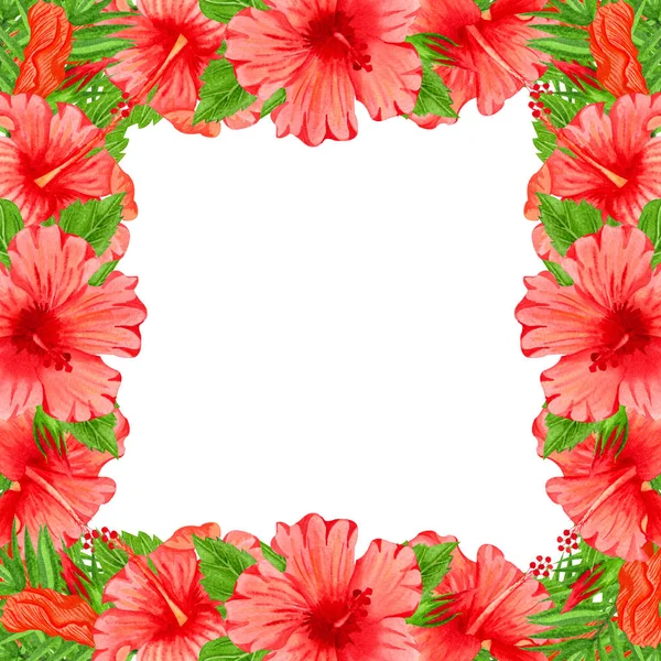 กรอบสีน้ํา ดอกไม้ไฮบิสกัสสีแดง มือวาดดอกไม้โบ — ภาพถ่ายสต็อก