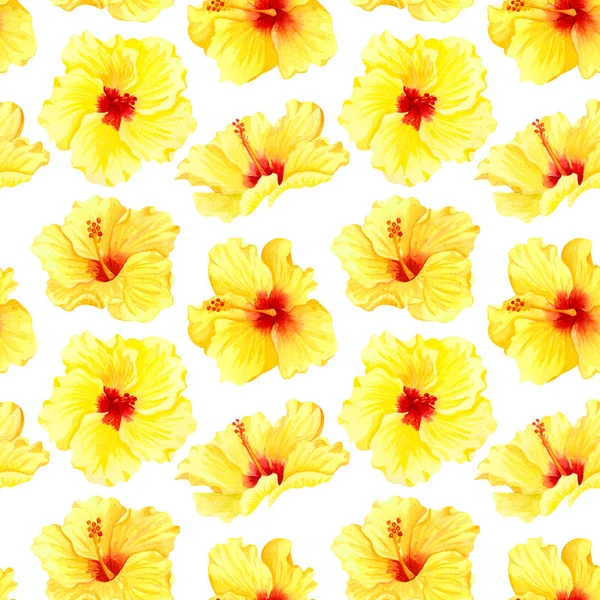 Watercolor seamless tropical floral pattern. Big yellow hibiscus on white background. Hand drawn watercolor seamless pattern with yellow tropical flowers. Sunny flowers