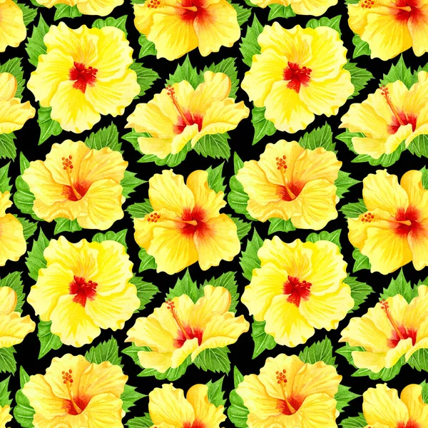 Υδατογραφία απρόσκοπτη τροπικό μοτίβο λουλουδιών. Κίτρινος ιβίσκος και φύλλα σε μαύρο φόντο. Χειροποίητο υδατογράφημα αδιάλειπτη μοτίβο με κίτρινα τροπικά λουλούδια. Άνθη — Φωτογραφία Αρχείου