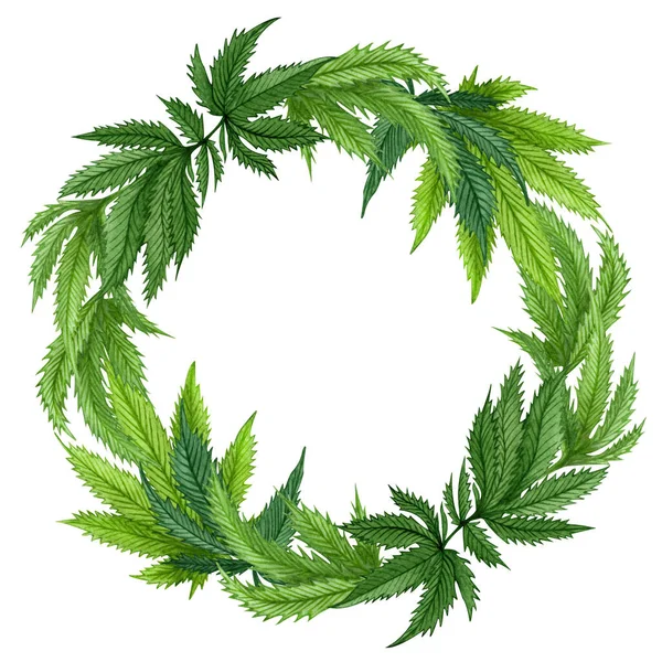 Cornice Cannabis Acquerello Ghirlanda Canapa Selvatica Disegnata Mano Biglietto Auguri — Foto Stock