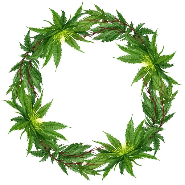 Watercolor Cannabis Frame Hand Drawn Wild Hemp Plant Wreath Greeting — Stock Photo, Image