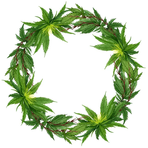 Cornice Cannabis Acquerello Ghirlanda Canapa Selvatica Disegnata Mano Biglietto Auguri — Foto Stock