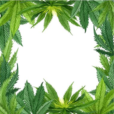 Suluboya kenevir çerçevesi. Tebrik kartı, logo, çerçeve veya sınır için el yapımı yabani kenevir bitkisi sınırı.