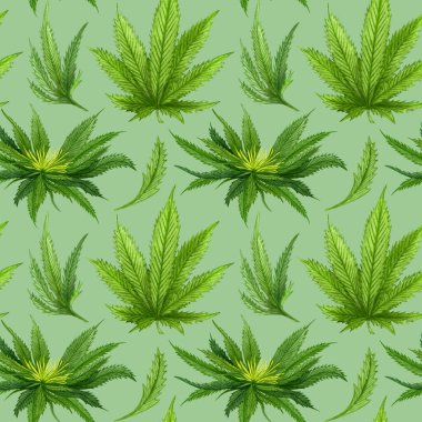 Suluboya kenevir pürüzsüz desen. Kenevir el çizimi desen. Yeşil üzerine kenevir yağı arka planı