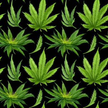 Suluboya kenevir pürüzsüz desen. Kenevir el çizimi desen. Esrar arkaplanı siyah