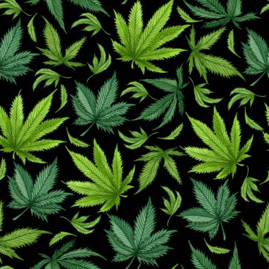 Suluboya kenevir pürüzsüz desen. Kenevir el çizimi desen. Esrar arkaplanı siyah