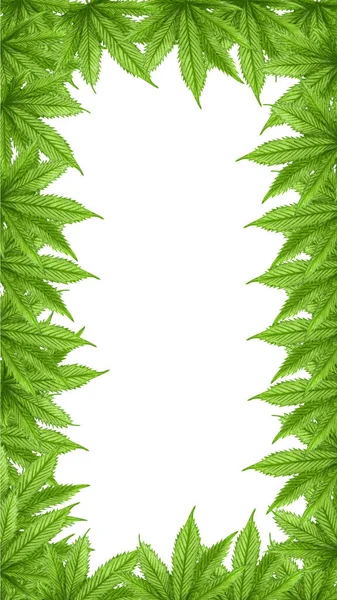 水彩の大麻のフレーム グリーティングカード フレームまたは境界線 ソーシャルメディアテンプレートのための手描きの野生の麻の植物の境界線 — ストック写真