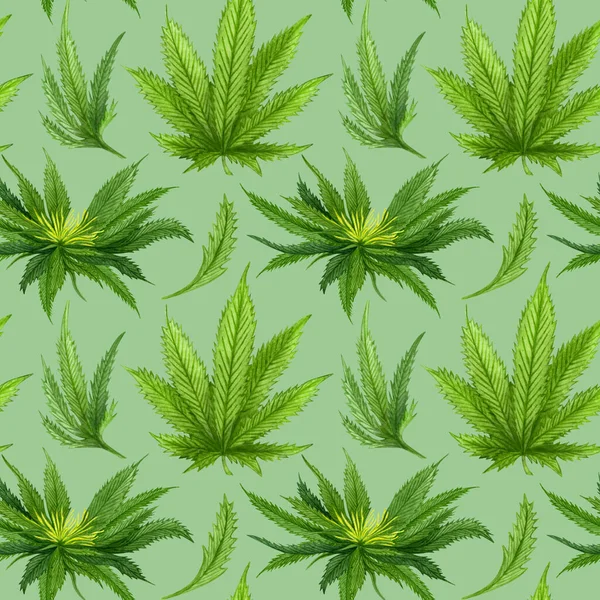 Watercolor Cannabis Seamless Pattern Hemp Hand Drawn Pattern Cannabis Oil — Stock Photo, Image