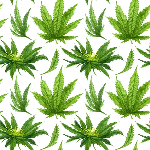 Watercolor Cannabis Seamless Pattern Hemp Hand Drawn Pattern Cannabis Oil — Stock Photo, Image